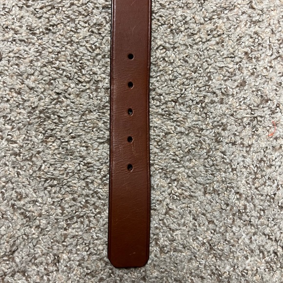 Brown Fossil Belt - Picture 4 of 4